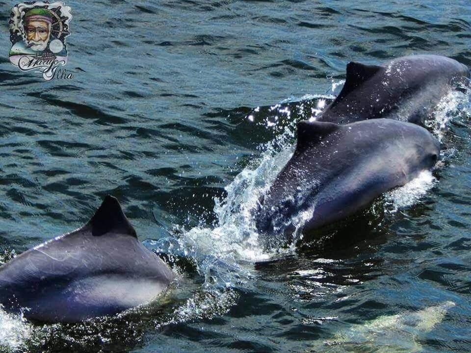 Pousada Del Mar Ilha Comprida Zewnętrze zdjęcie